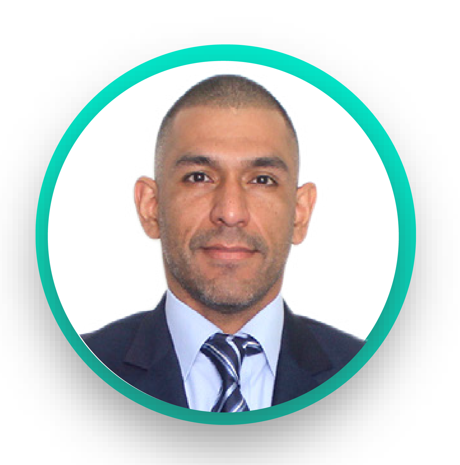 Descripción de la imagen